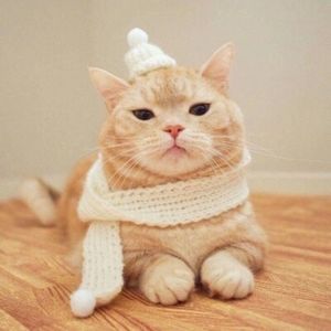 Meet your Posher, Onalee